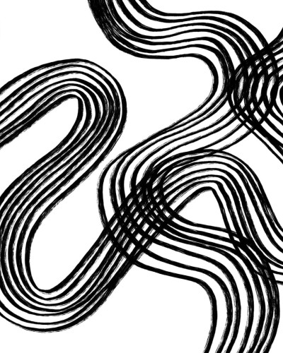 Tapet cu design grafic abstract în negru și alb, cu linii curbe îndrăznețe