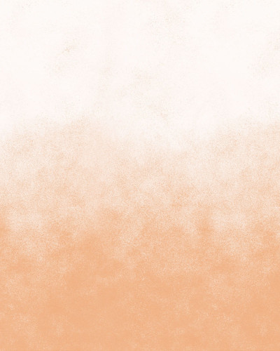Tapet Ash Gradient, Peach Fuzz - un design subtil de gradient în nuanțe calde de piersică