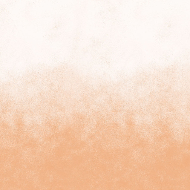 Tapet Ash Gradient, Peach Fuzz - un design subtil de gradient în nuanțe calde de piersică