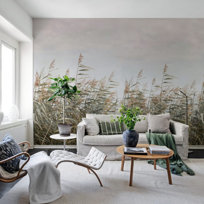 Tapetul Dreamy Reed, Beige prezintă un design minimalist cu stufărișuri înalte în tonuri de bej și gri. Wallpaper-ul este ideal pentru a crea o atmosferă relaxantă în living, dormitor sau birou.