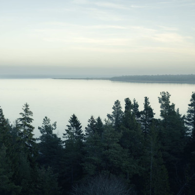 Top View, Day wallpaper,  imagine cu un lac, o pădure și o atmosferă liniștitoare