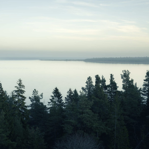 Top View, Day wallpaper,  imagine cu un lac, o pădure și o atmosferă liniștitoare