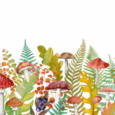 Tapet Autumn Meadow, Rainbow, ilustrând o pădure cu ciuperci colorate, frunze vibrante și ferigi luxuriante.