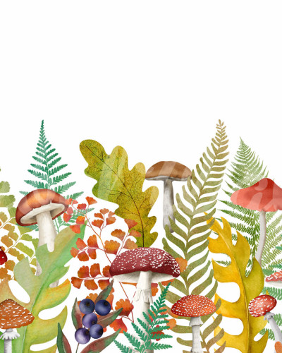 Tapet Autumn Meadow, Rainbow, ilustrând o pădure cu ciuperci colorate, frunze vibrante și ferigi luxuriante.