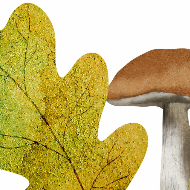 Tapet Autumn Meadow, Rainbow, ilustrând o pădure cu ciuperci colorate, frunze vibrante și ferigi luxuriante.