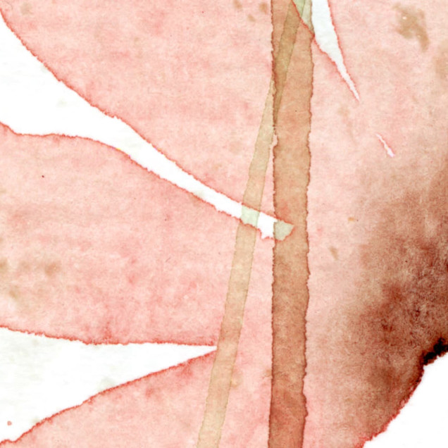 Dreamy Meadow, Red, tapet cu flori pastelate