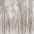 Fototapet Morning Forest, Beige, Rebel Walls