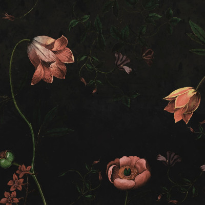 Tapet floral Romantic Garden, Night cu flori delicate pe fundal negru