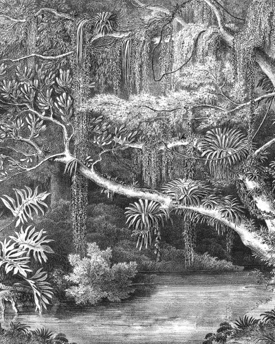 Secret Well Repeatable, Black & White wallpaper în dormitor