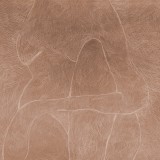 Subtle Figure, Rust, Rebel Walls