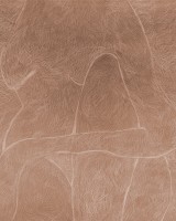 Subtle Figure, Rust, Rebel Walls