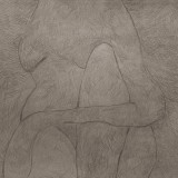 Subtle Figure, Light Brown, Rebel Walls