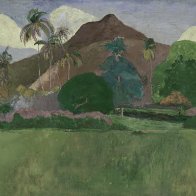 Tapet perete cu peisaj tahitian verde