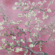 Fototapet Almond Blossom, Pink, Rebel Walls