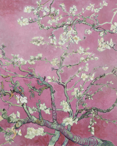 Tapet cu flori de migdal roz, design inspirat din Vincent van Gogh, perfect pentru dormitoare, livinguri sau birouri.