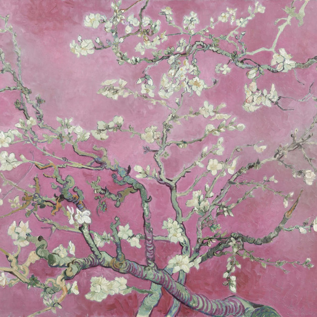 Tapet cu flori de migdal roz, design inspirat din Vincent van Gogh, perfect pentru dormitoare, livinguri sau birouri.