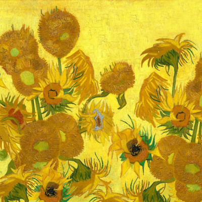 Sunflowers Repeatable, Yellow, Rebel Walls