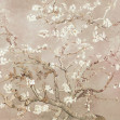 Fototapet Almond Blossom, Beige, Rebel Walls