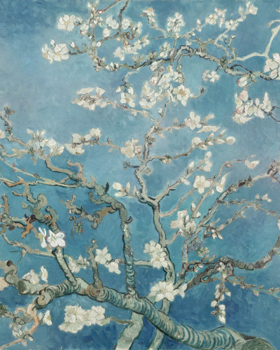 Tapet cu design artistic Almond Blossom by Van Gogh, ce redă o imagine vibrantă a ramurilor înflorite de migdal.