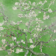 Fototapet Almond Blossom, Green, Rebel Walls