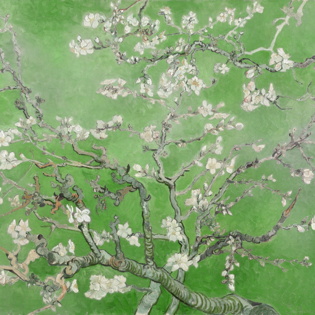 Tapet Almond Blossom, Green, cu flori de migdal înflorite pe un fundal verde