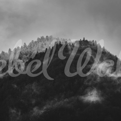 Tapet cu design abstract Foggy Mountain, Black & White, o pădure acoperită de ceață.