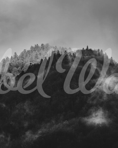 Tapet cu design abstract Foggy Mountain, Black & White, o pădure acoperită de ceață.