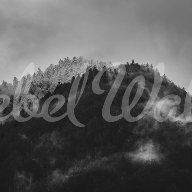 Tapet cu design abstract Foggy Mountain, Black & White, o pădure acoperită de ceață.