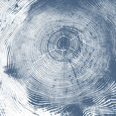 Tapet cu aspect de lemn, inele de creștere albastre, Tree Cut, Blue.