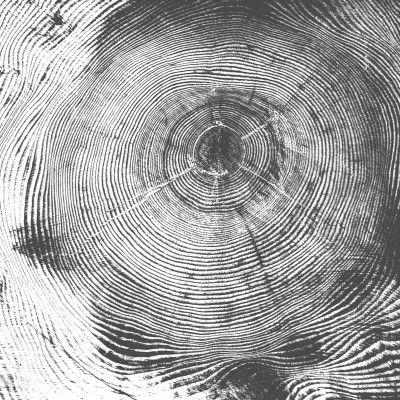 Tapetă Tree Cut, Negru, cu aspect de arbore tăiat, cu inele de creștere, cu o nuanță de gri închis.