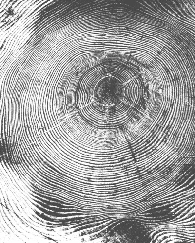 Tapetă Tree Cut, Negru, cu aspect de arbore tăiat, cu inele de creștere, cu o nuanță de gri închis.