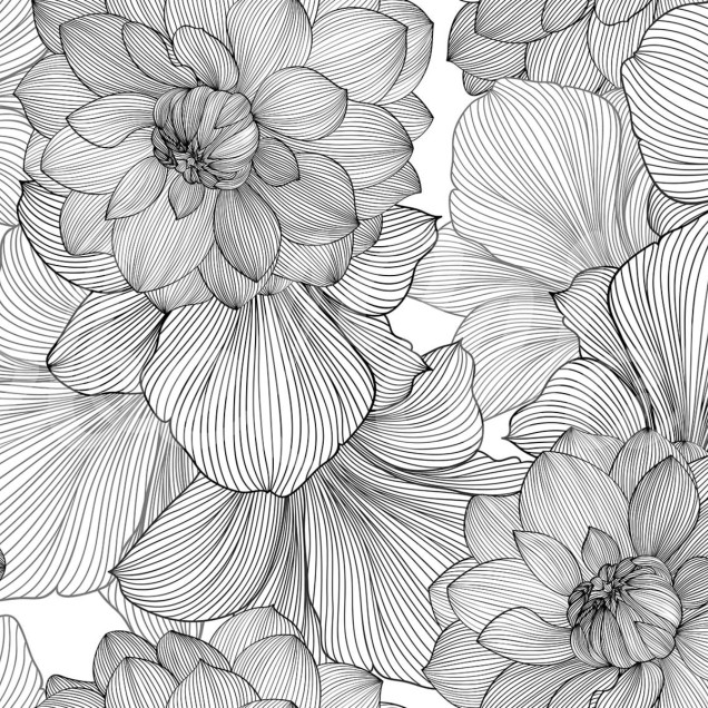Tapet cu flori minimalist, Bold Dahlia, Graphite