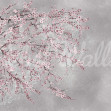 Fototapet Calm Tree, Pink, Rebel Walls