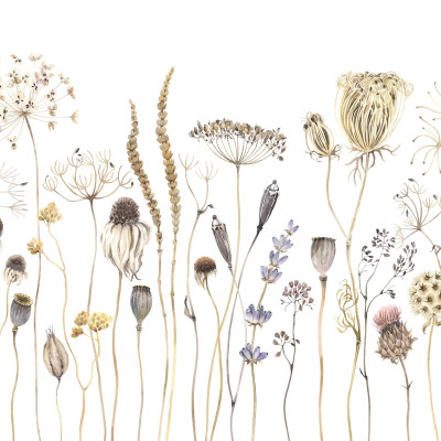 Tapet floral Dried Flower Meadow, Beige cu flori uscate în culori deschise pentru un dormitor romantic și relaxant.