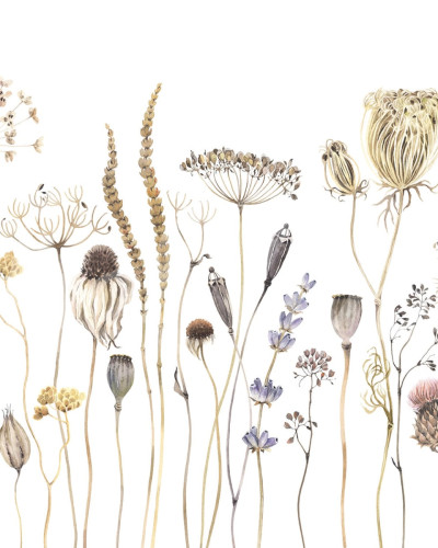 Tapet floral Dried Flower Meadow, Beige cu flori uscate în culori deschise pentru un dormitor romantic și relaxant.