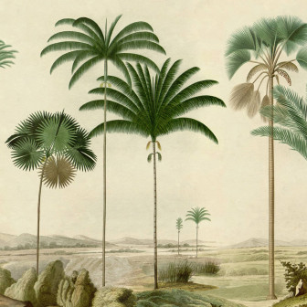 Vintage Palms, Green, Rebel Walls