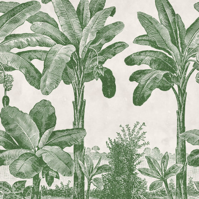 Fototapet cu model tropical verde, decor interior cu plante