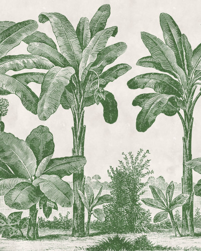 Fototapet cu model tropical verde, decor interior cu plante