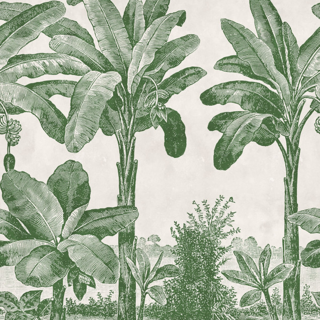 Fototapet cu model tropical verde, decor interior cu plante