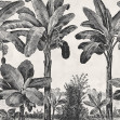 Timeless Tropics, Black & White, Rebel Walls