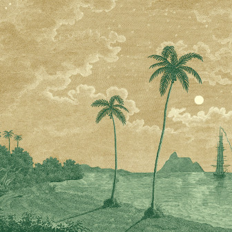 Palm Beach, Yellow, Rebel Walls