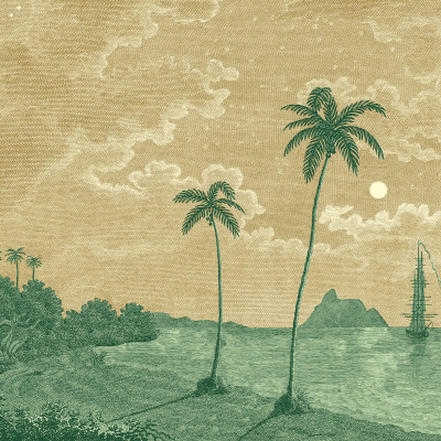 Tapet cu design tropical, palmieri și peisaj marin