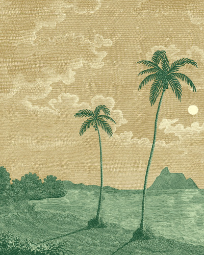 Tapet cu design tropical, palmieri și peisaj marin
