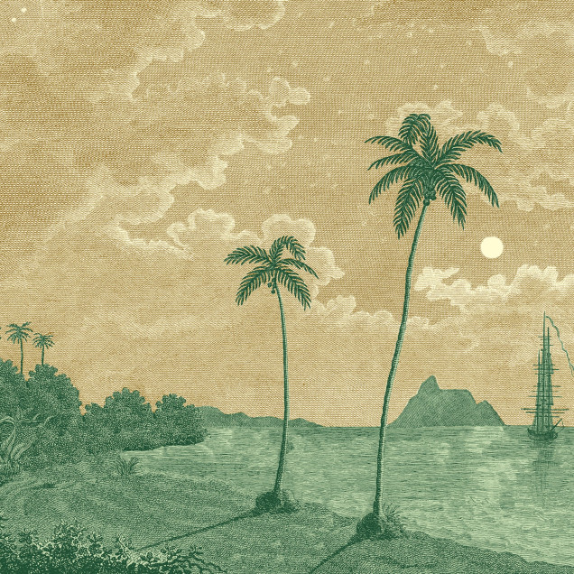 Tapet cu design tropical, palmieri și peisaj marin