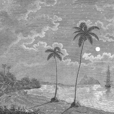 Palm Beach, Black & White, Rebel Walls