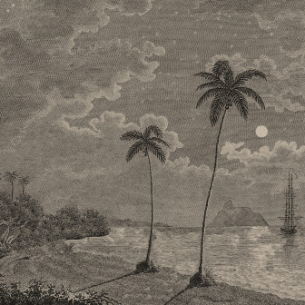 Palm Beach, Vintage, Rebel Walls