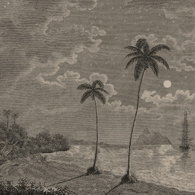 Tapet cu peisaj tropical vintage într-un living elegant
