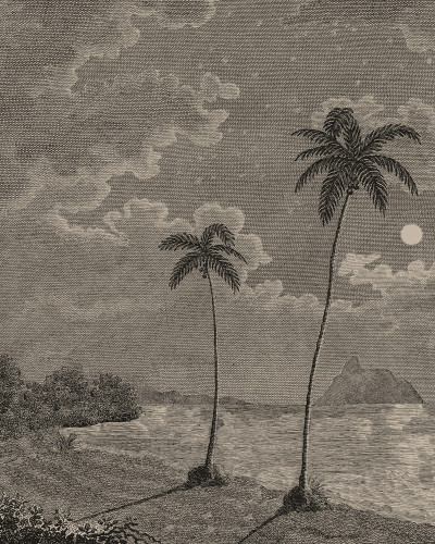 Tapet cu peisaj tropical vintage într-un living elegant