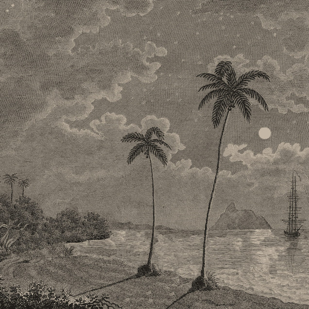 Tapet cu peisaj tropical vintage într-un living elegant