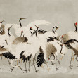 Dancing Cranes, Beige, Rebel Walls